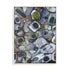 Cornwall Beach Glass Wall Art