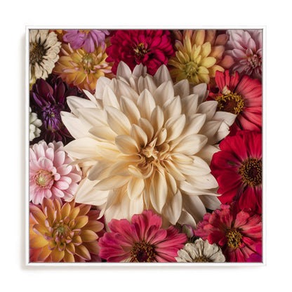 Dahlia Dream Scape  II