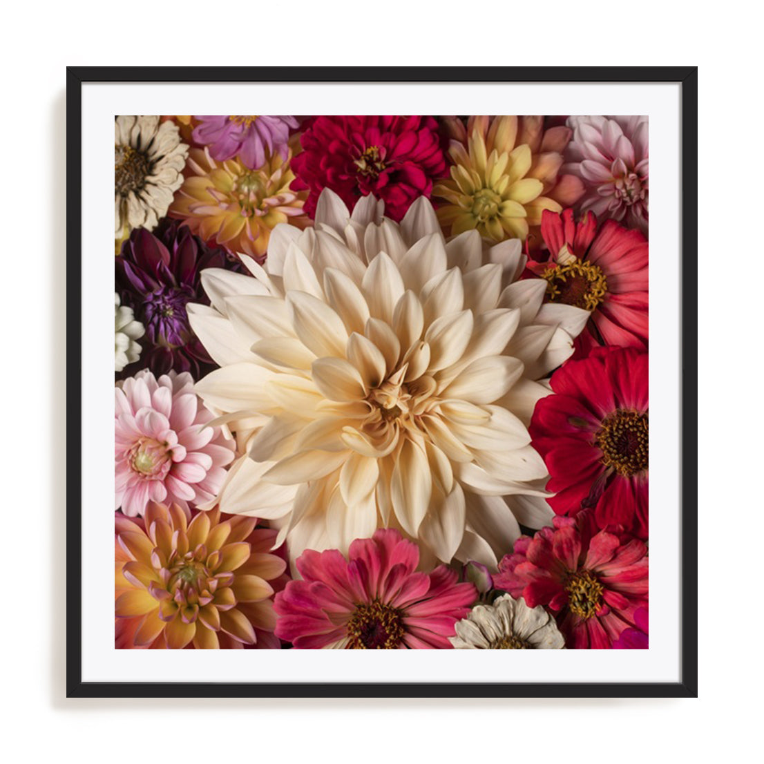 Dahlia Dream Scape  II