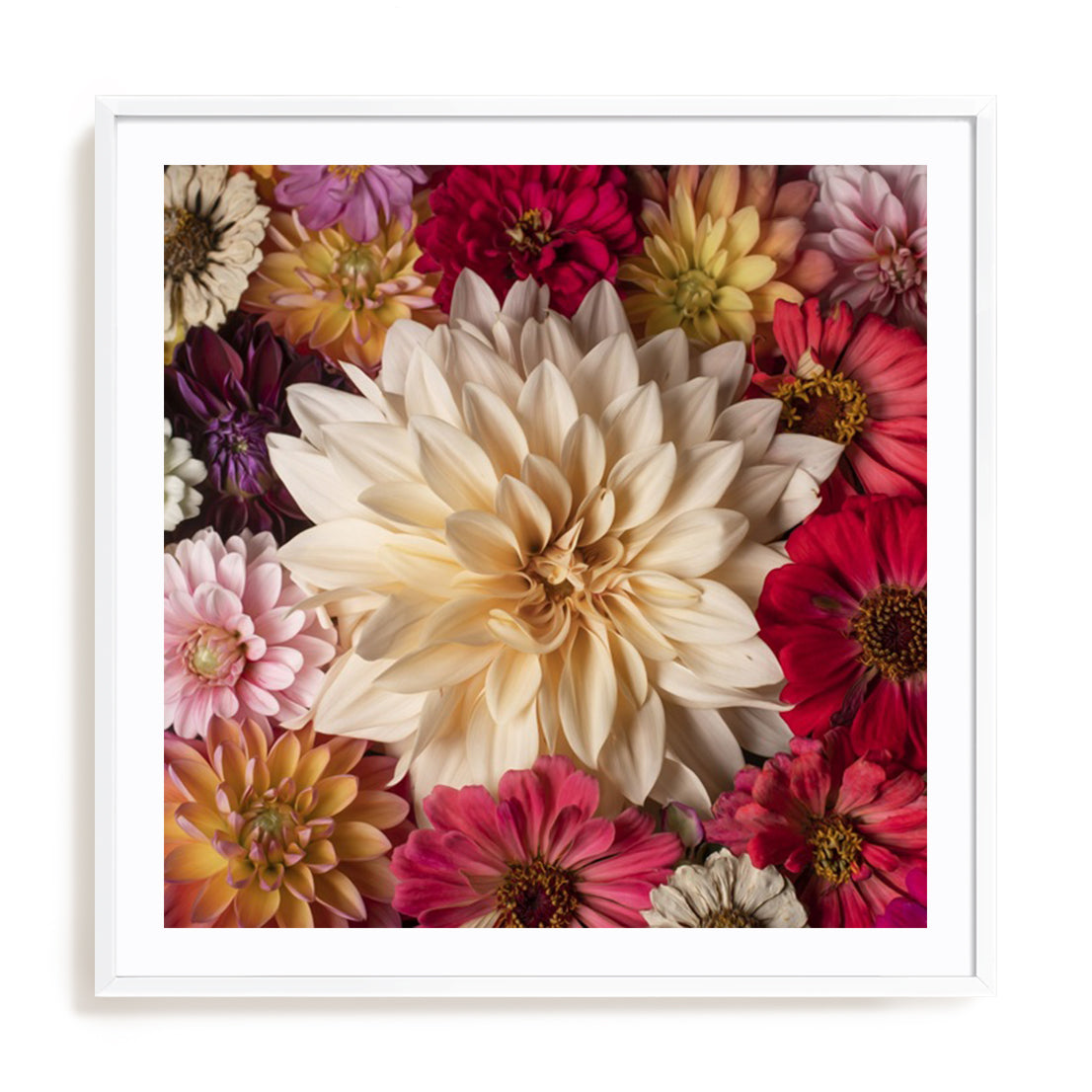 Dahlia Dream Scape  II