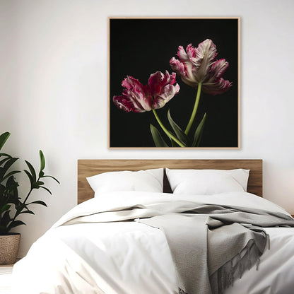 Open Bloomed Tulips