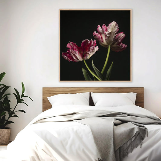 Open Bloomed Tulips