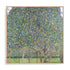 Klimt Multicolor Landscapes II Wall Art
