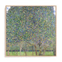 Klimt Multicolor Landscapes II Wall Art