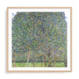 Klimt Multicolor Landscapes II Wall Art