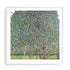 Klimt Multicolor Landscapes II Wall Art #oran_white-white-border