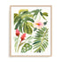 Tropical Farrago I Wall Art