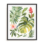 Tropical Farrago II Wall Art