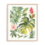 Tropical Farrago II Wall Art