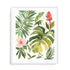 Tropical Farrago II Wall Art