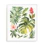 Tropical Farrago II Wall Art