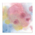 Rainbow Litmus II Wall Art
