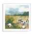 Sweet Sheep Field II Wall Art #oran_white-white-border