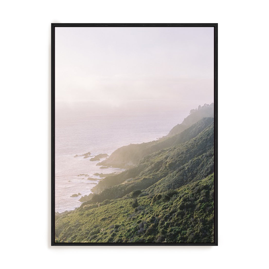 Lush Coastline