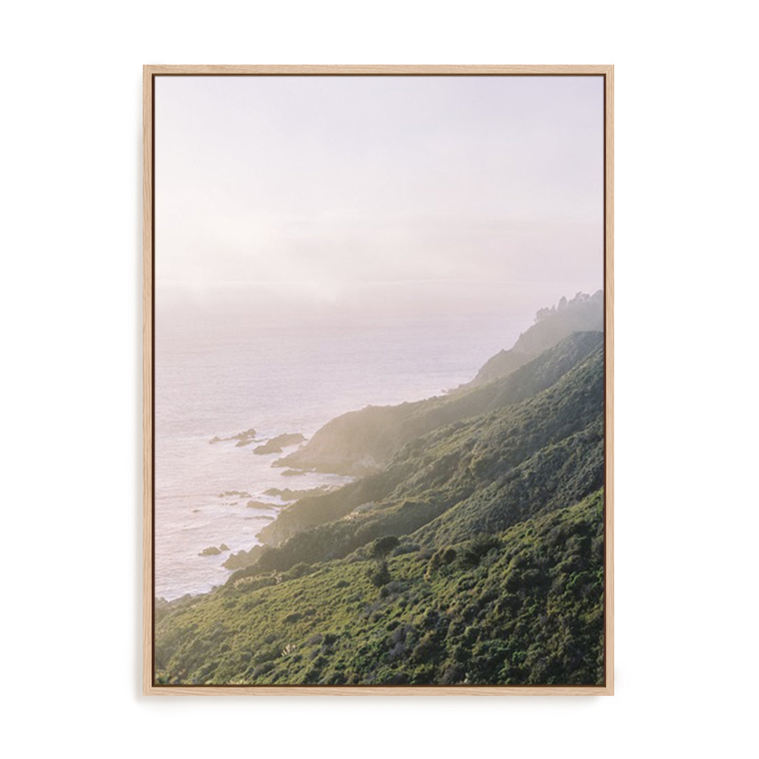 Lush Coastline