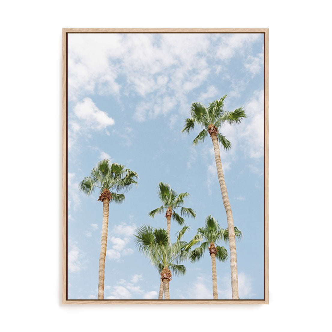 Palms