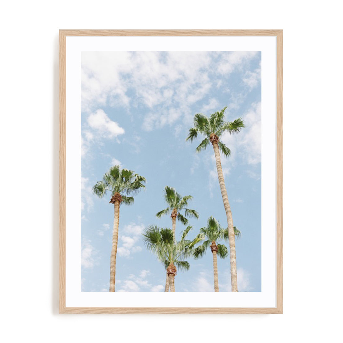 Palms
