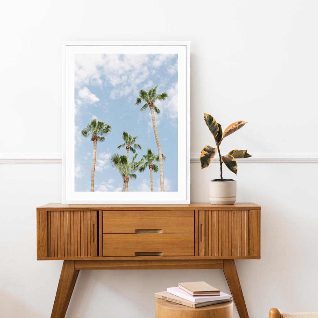 Palms