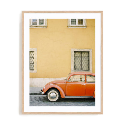 Orange Bug