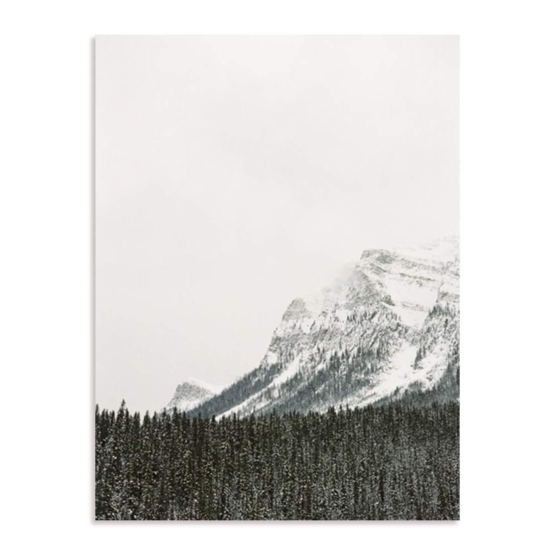 Holiday Trees