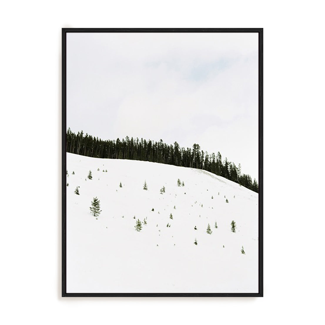 Speckled Snow