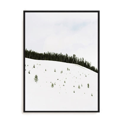 Speckled Snow