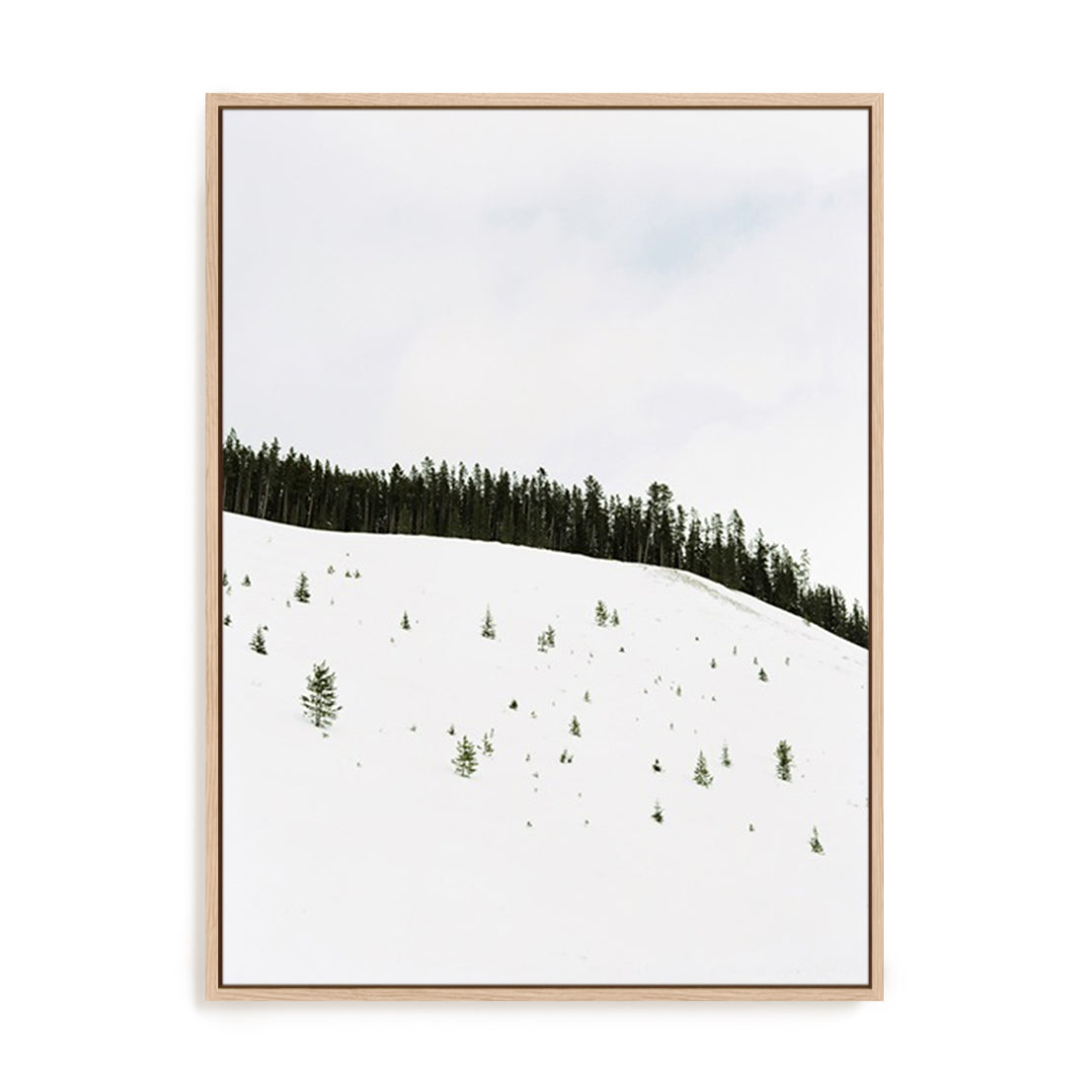 Speckled Snow