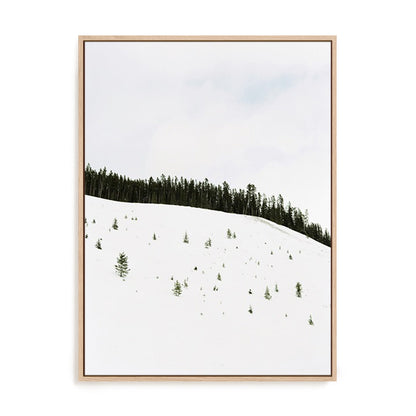 Speckled Snow