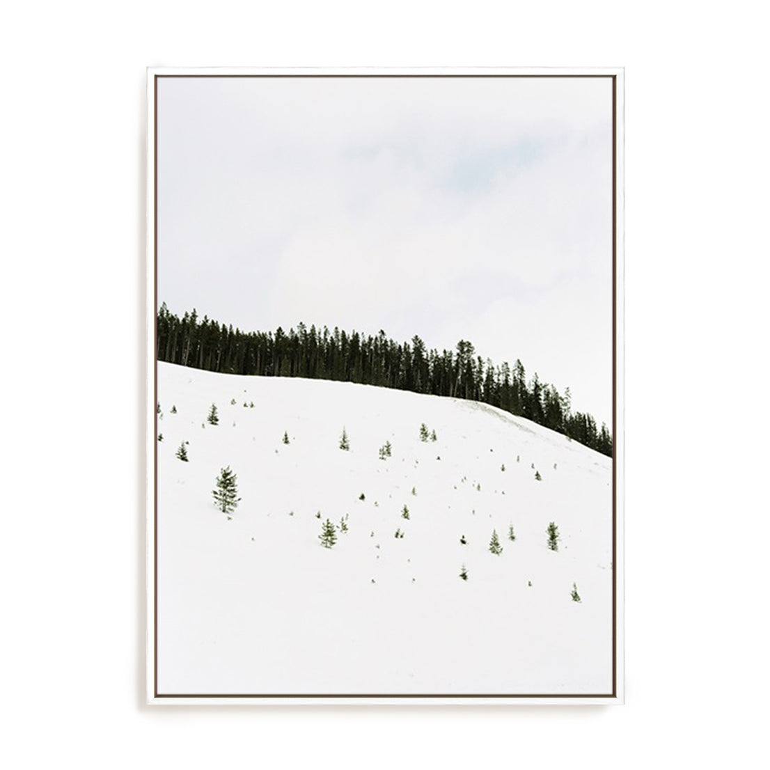Speckled Snow