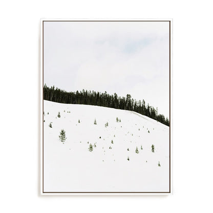 Speckled Snow