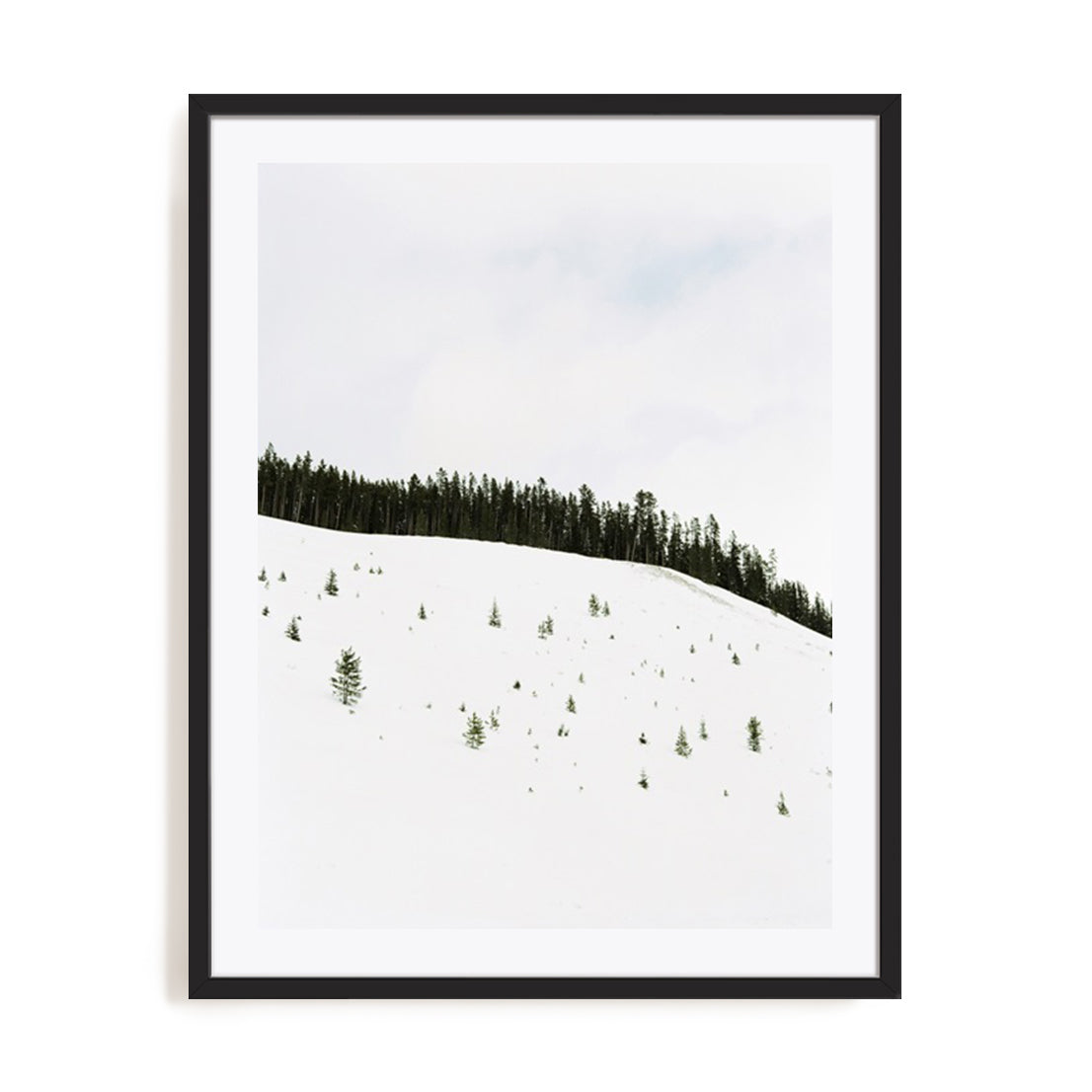 Speckled Snow