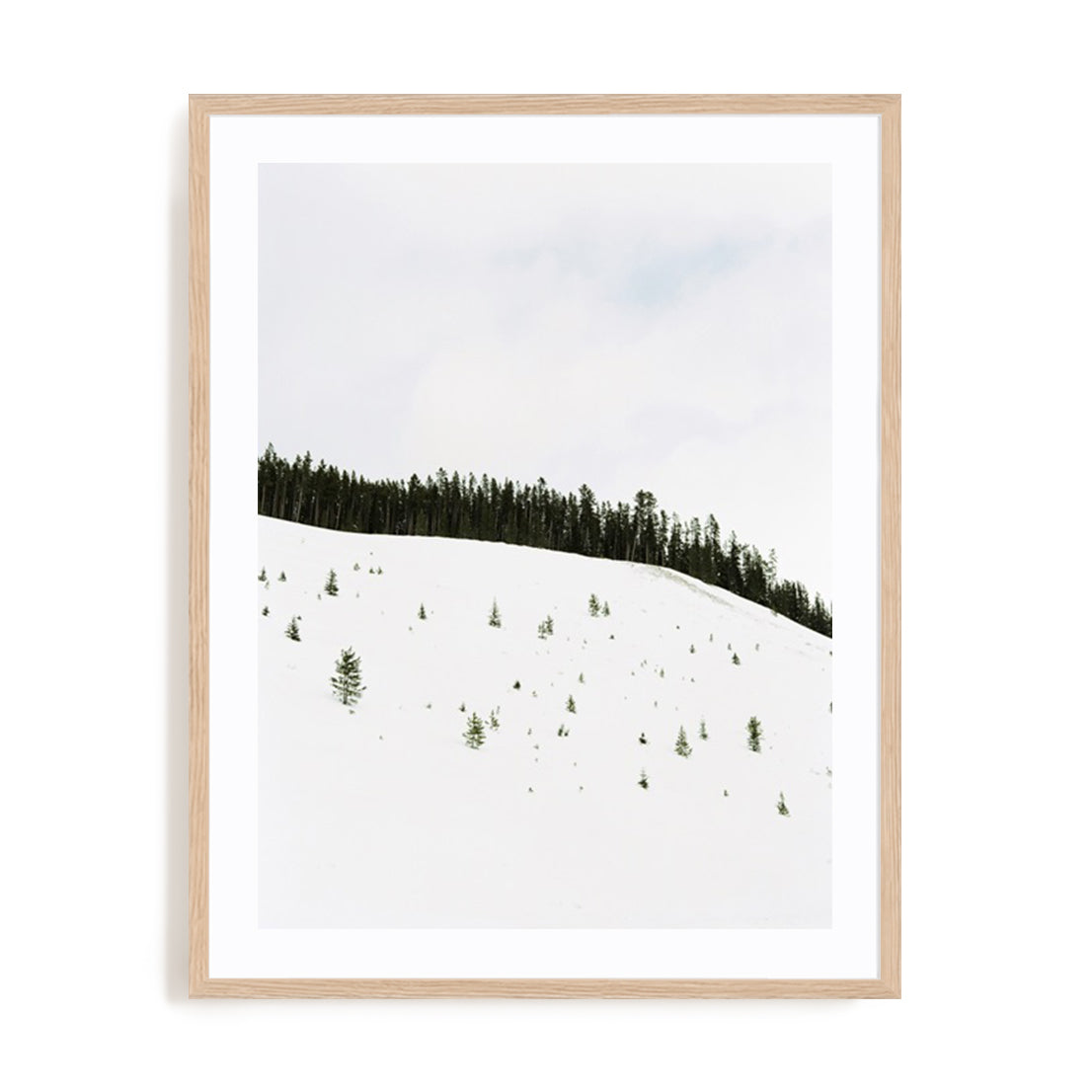 Speckled Snow