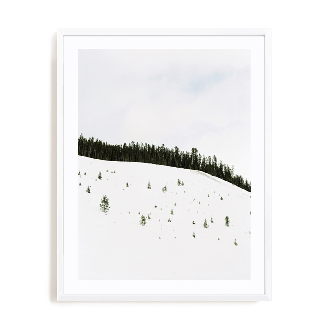 Speckled Snow