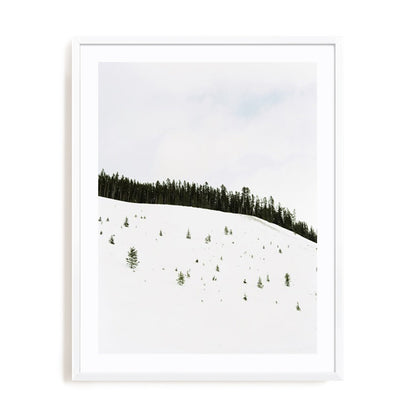 Speckled Snow