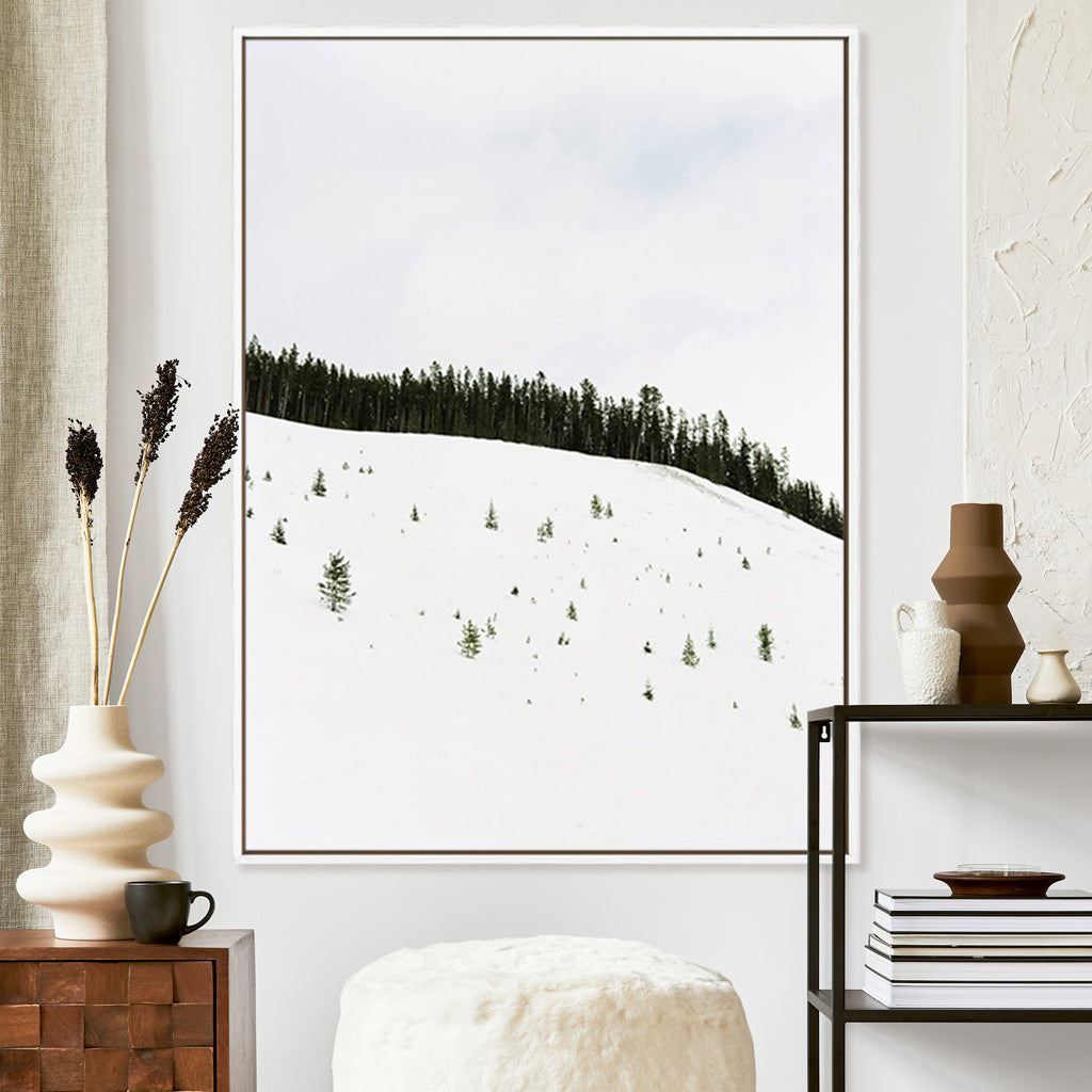 Speckled Snow