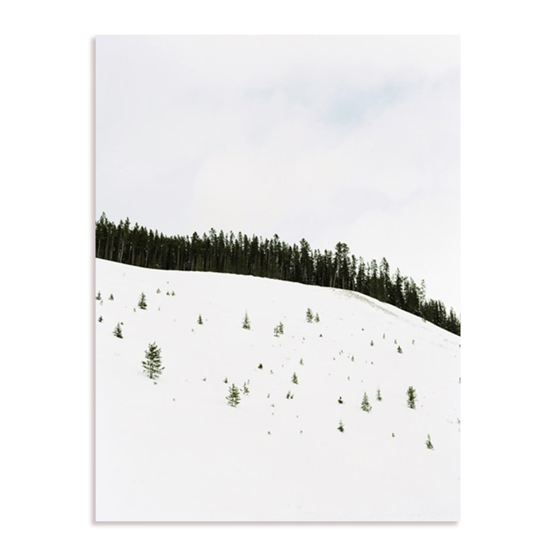 Speckled Snow
