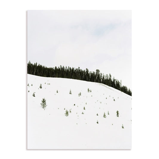 Speckled Snow