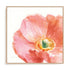Garden Poppy Flipped on White Crop Wall Art