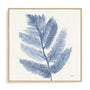 Forest Ferns I Wall Art