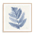 Forest Ferns I Wall Art #oran_natural-white-border