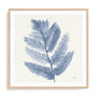 Forest Ferns I Wall Art