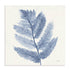 Forest Ferns I Wall Art