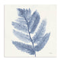 Forest Ferns I Wall Art