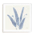 Forest Ferns II Wall Art #oran_white-white-border