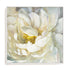 Summer Joy II Wall Art