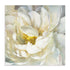 Summer Joy II Wall Art