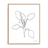 Doodle Leaves III Wall Art