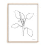 Doodle Leaves III Wall Art
