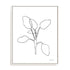 Doodle Leaves III Wall Art