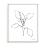 Doodle Leaves III Wall Art
